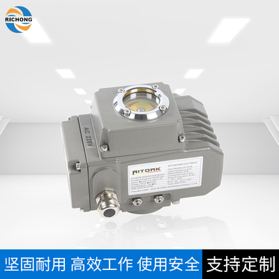 意大利 RITORK 电动执行器