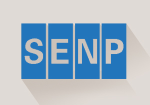 SENP悬停2